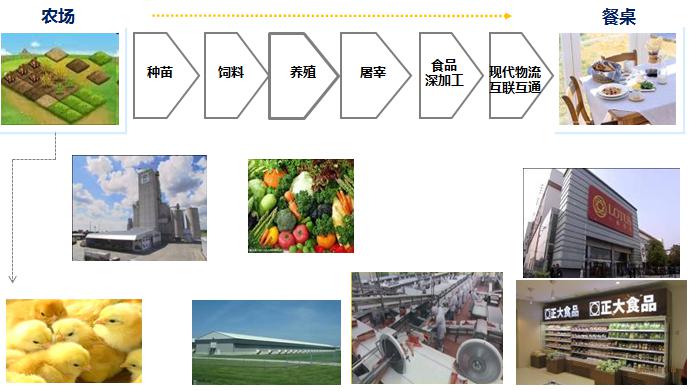 图片8.jpg 图片8.jpg